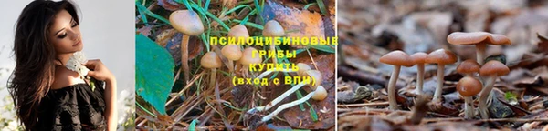таблы Кулебаки