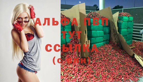 молекула духа Кукмор