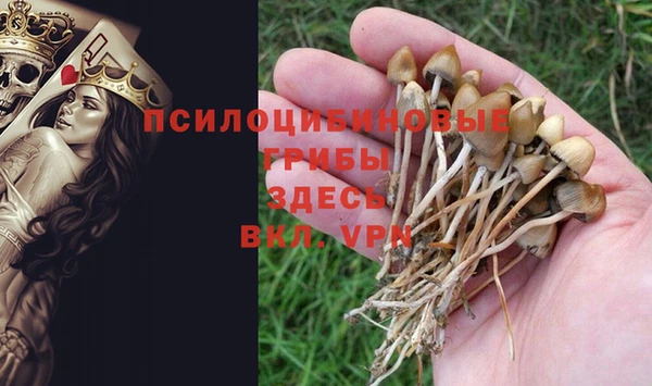 молекула духа Кукмор