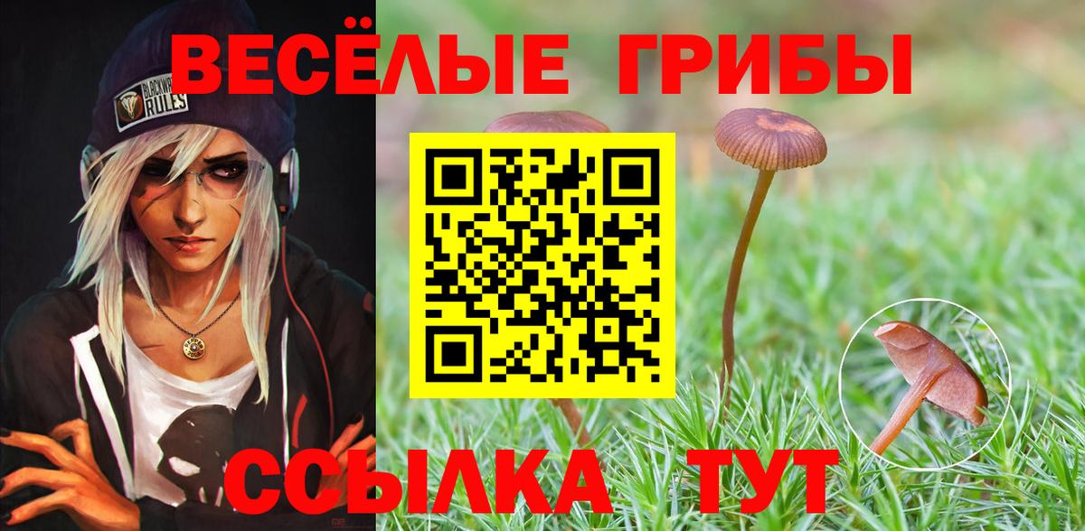 Псилоцибиновые грибы мухоморы  Вход с VPN  Уссурийск 